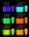 5pc Acrylic Luminos powder