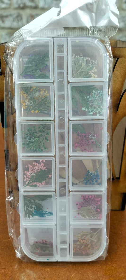 Dried Flower case B