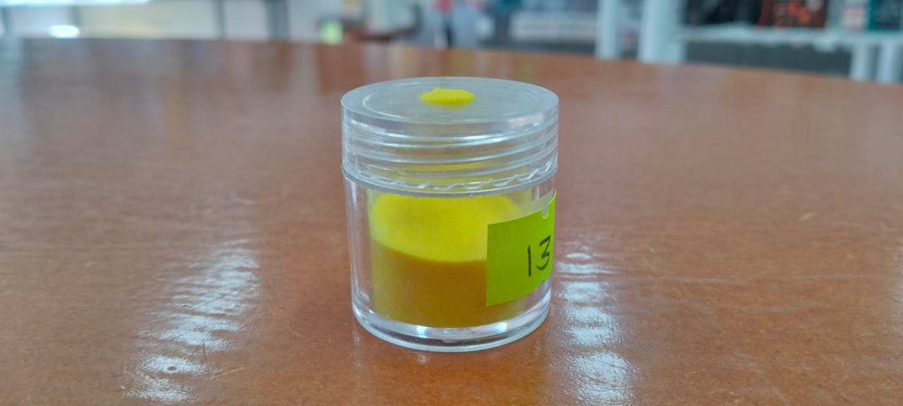 10g Acrylic powder 13